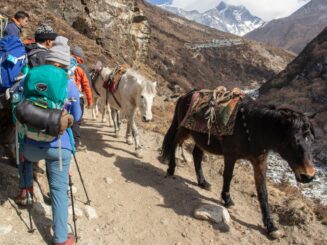 Himalayas - Manaslu circuit trek Himalayas - Manaslu circuit trek